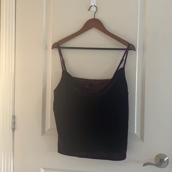 Velvet Cowel-Neck Camisole - Picture 1 of 5